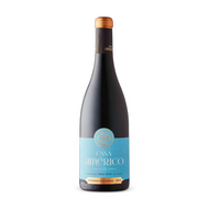 Casa Américo Touriga Nacional Dão 2016