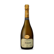 Dumangin J. Fils Monthouzons 1er Cru Champagne 2002