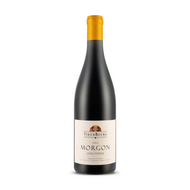 Domaine Du Vieux Bourg Cinq Terres Morgon 2022