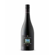 Shiraz Golden Hillside Clare Valley 2020