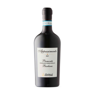 Piemonte Barbera Appassimento 2021