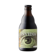 Zeven Zonden Invidia