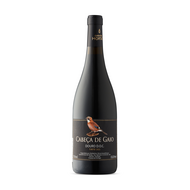 Cabeca De Gaio Red 2021