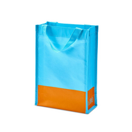 Reusable 2 Bottle Bag