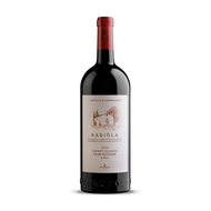 Mazzei Castello di Fonterutoli Badiòla Chianti Classico Gran Selezione 2020