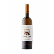 Xxvi Talhas Mestre Daniel White 2023