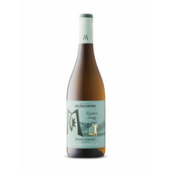 Mezzacorona Trentino Riserva Pinot Grigio 2023