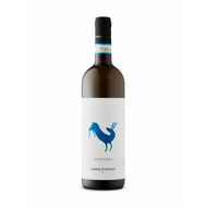 Coccocciola D\'Abruzzo, Paride D\'Angelo 2025