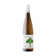 Lighthall Riesling 2023