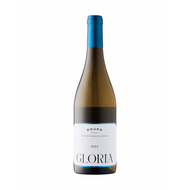 Gloria White 2024