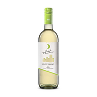 Casal Thaulero Pinot Grigio