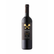 Viticcio Riserva Chianti Classico 2019
