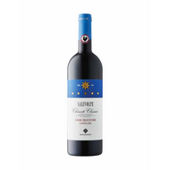 San Leonino Salivolpe Gran Selezione Chianti Classico 2019