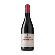 Tornatore Calderara Etna Rosso 2019
