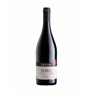 Cesari Mara Valpolicella Ripasso Superiore