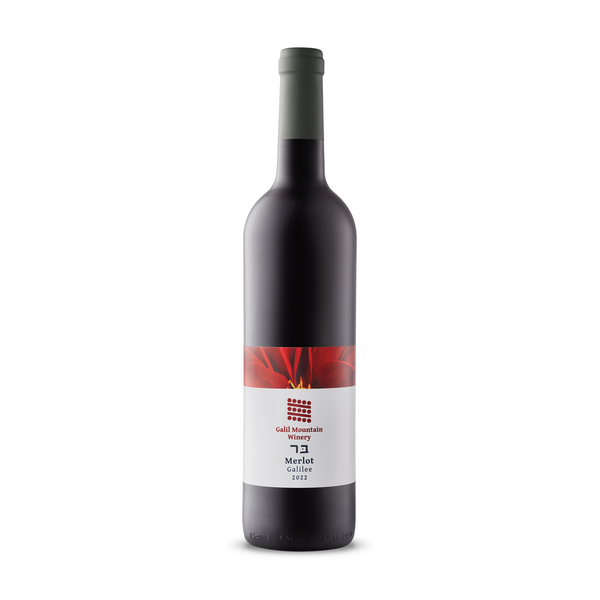 Galil Mountain Merlot KP