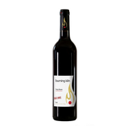 Burning Kiln Strip Room VQA