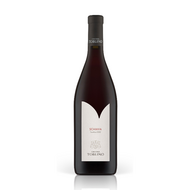 Toblino Schiava Trentino DOC 2019