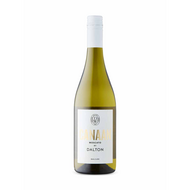 Dalton Canaan Moscato KPM 2023