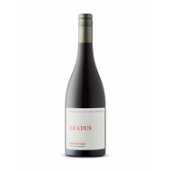 Eradus Pinot Noir Awatere Valley 2023