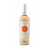 Novaripa Monatic Amber Terre di Chieti Pinot Grigio 2023