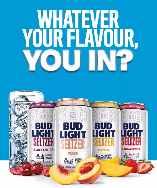 Bud Light Seltzer Banner